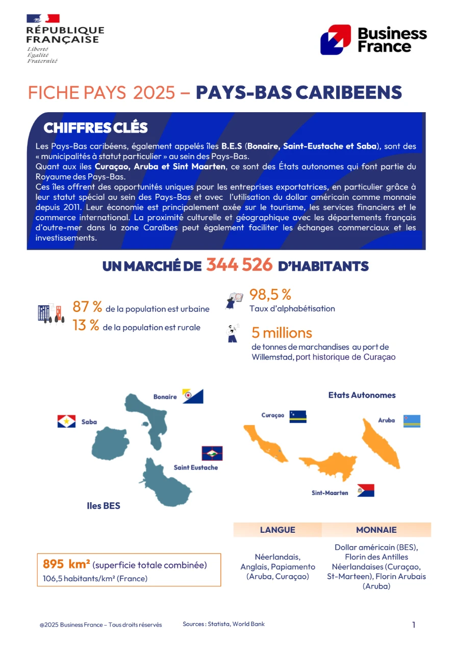 image de couverture du livre blanc