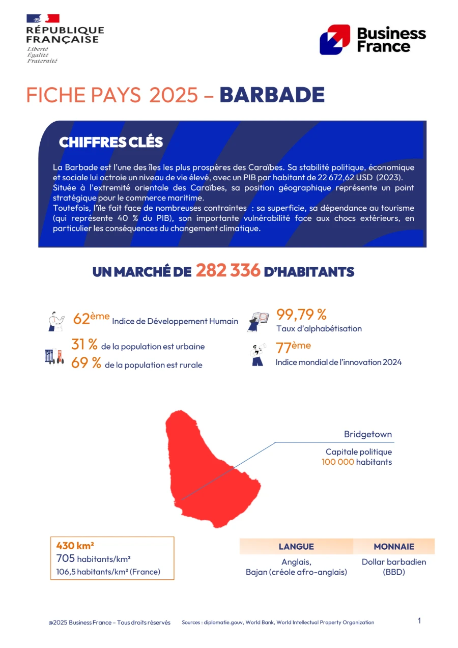 image de couverture du livre blanc