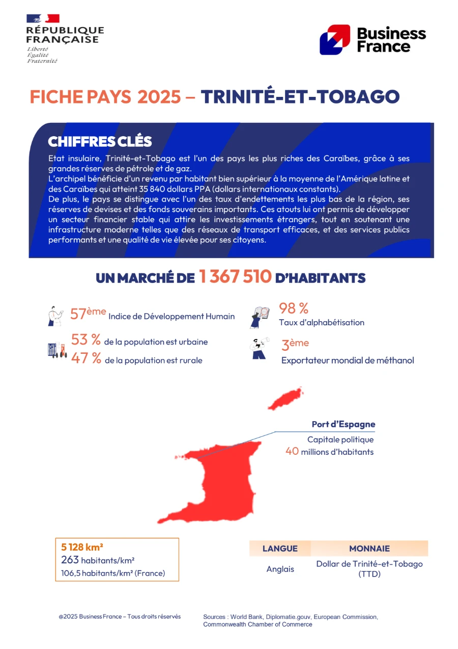 image de couverture du livre blanc